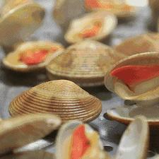 哈尔滨市高档海鲜酒楼有哪些