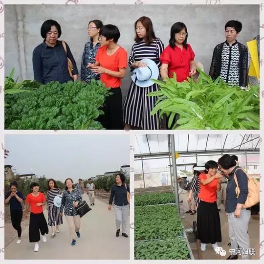 乡村振兴巾帼行动｜市妇联深入巾帼示范基层开展调研