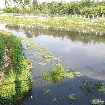 保定市环堤河能扩多少米