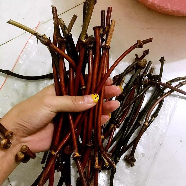 小孩子会得风湿吗