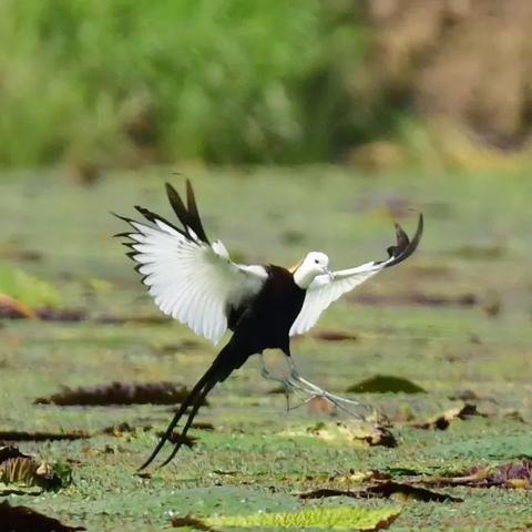 宁波 肇庆的长尾关键词有什么