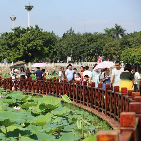2025.12.26东莞今天空气质量指数怎么样