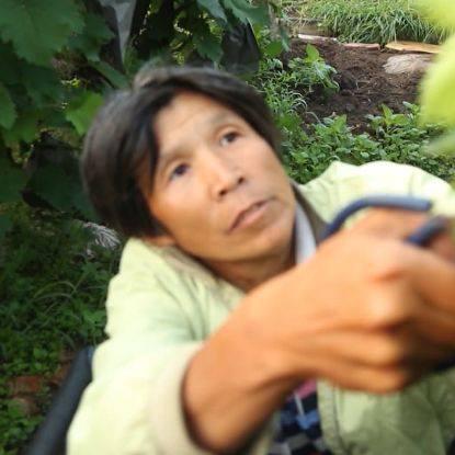 巩义跨境电商补贴多少