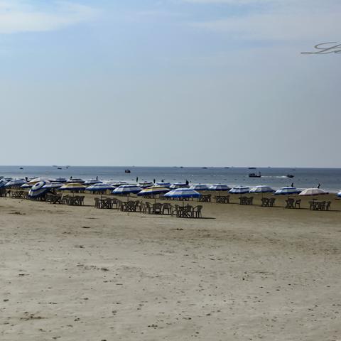 福建顺德属于哪个市