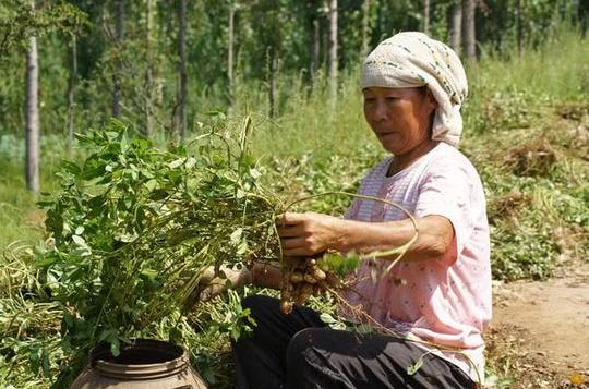 世界上最赚钱的小镇，老人每年靠捡垃圾赚80万