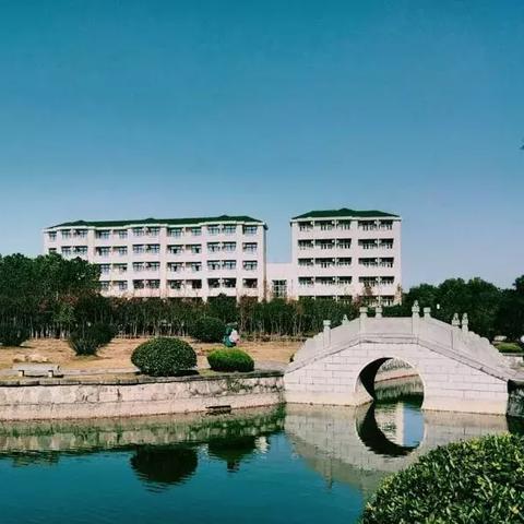 合肥市多少人上一本学校