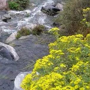 石家庄10月份什么温度