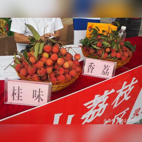 南宁市灵山的哪个方向
