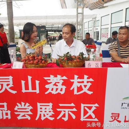 南宁市往灵山县怎么走