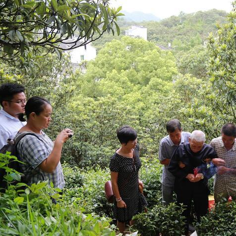 去台湾现在天气怎么样的