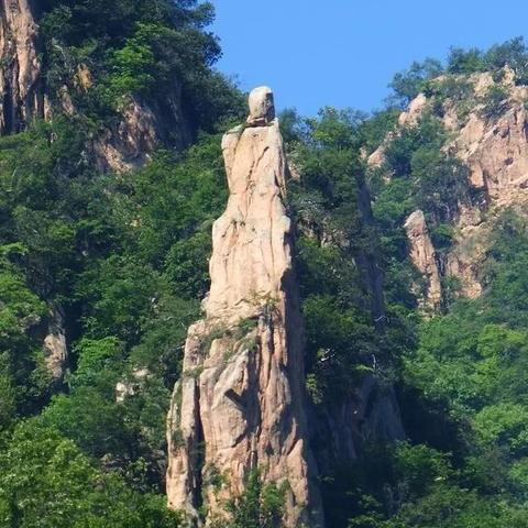河南地区青蛙怎么样