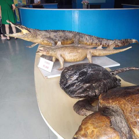 江苏省南通市哪里好玩