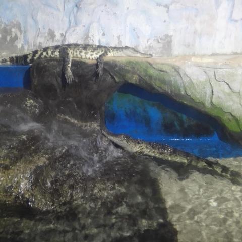 南通市好玩的地方是哪里