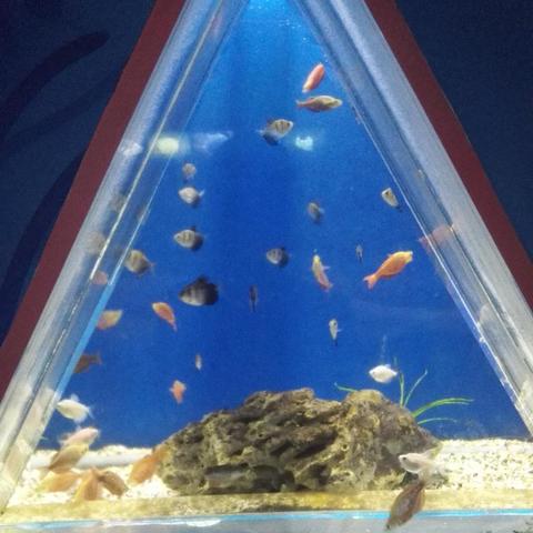 南通水族馆相关长尾关键词有哪些