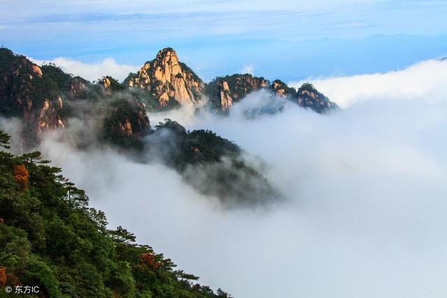 有哪些可以拓宽视野提升自我的高效方式