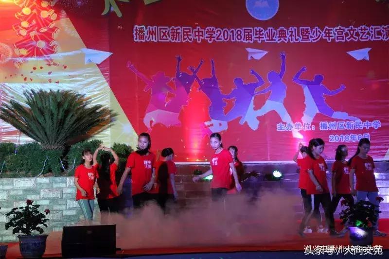 马到成功奏凯歌代表什么生肖,最佳释义解释！