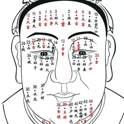 南京今日生肖运势(生肖运势每日更新)