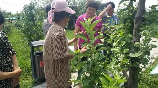 静海区妇联、牛顿庄园联合举办“她力量、她互助”巾帼女性创业辅导分享会