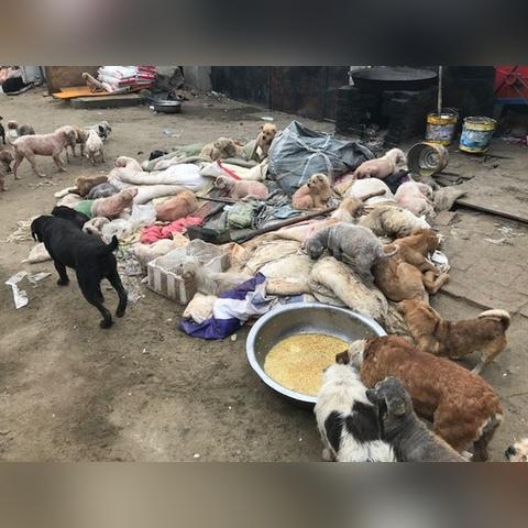 哈尔滨市皮肤病中医的相关长尾关键词有哪些