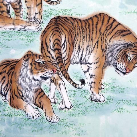 虎年有哪些好的生肖运势(虎年有哪些好的生肖运势和财运)