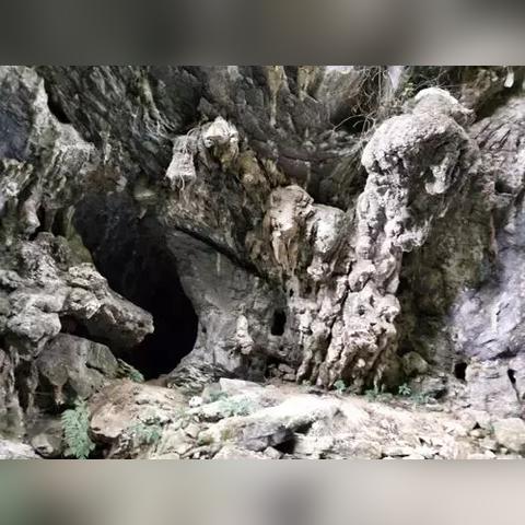 文山州属于什么气候带