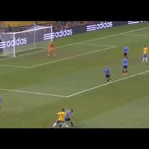 足球世界杯草坪多少钱