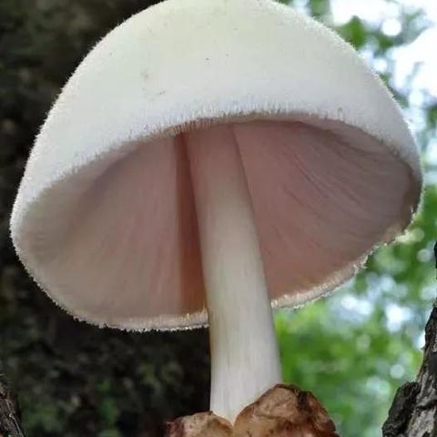 福建无菌呼吸袋定制的相关长尾关键词有哪些