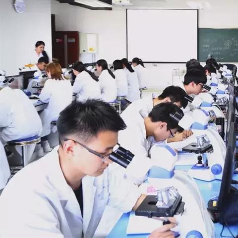 河南单招药学专业资料的相关长尾关键词有哪些