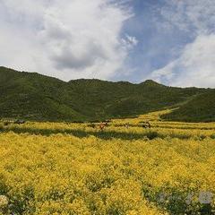 兰州2019年降水数据的相关长尾关键词有哪些
