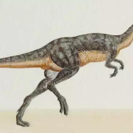 临沂市老猎人酒店地址的长尾关键词有哪些