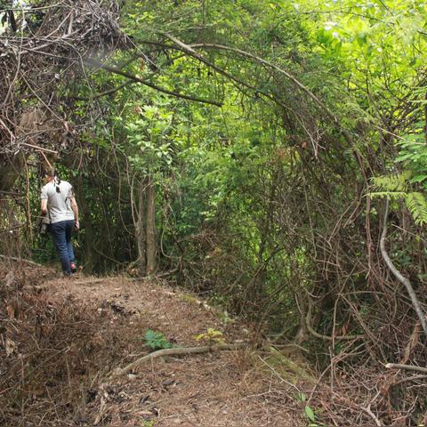 厦门市爬山哪里好