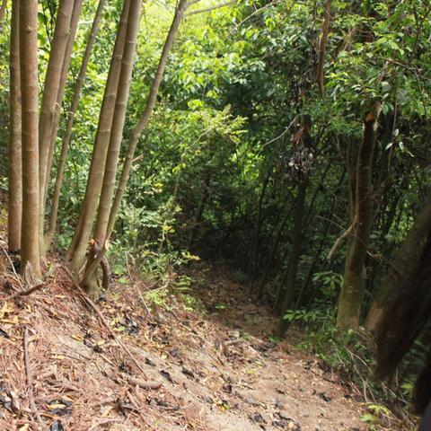 厦门市哪里免费野外野营