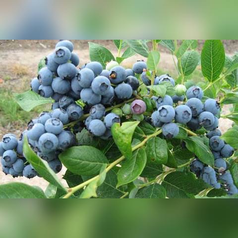 长沙下雨天适合拍照的地方？