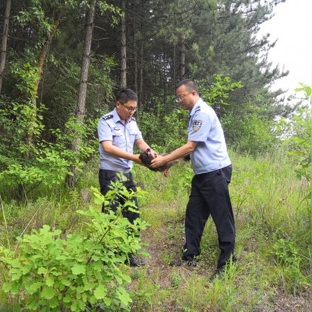 森林绳子能做什么的长尾关键词有什么