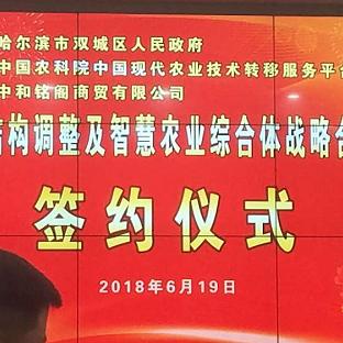 哈尔滨市的区长什么级别