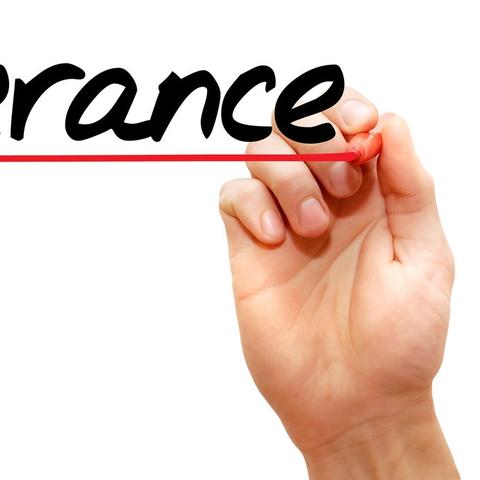 麻花今日生肖运势(麻花代表着什么生肖)