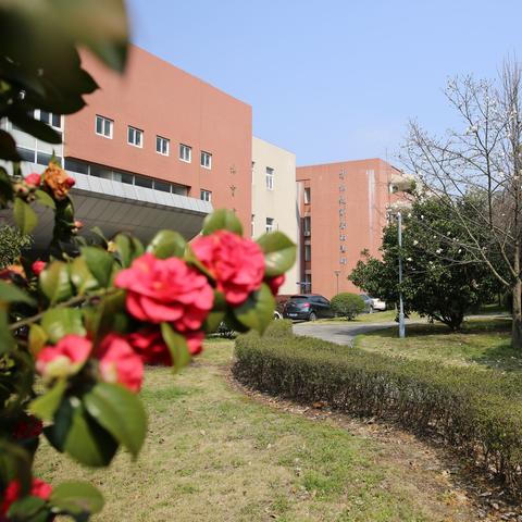 宁波市十好中学怎么样啊