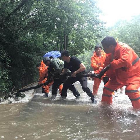 杭州市城市市容和卫生管理条例？