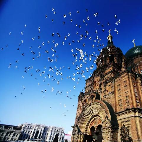 福建到哈尔滨火车查询的相关长尾关键词有哪些