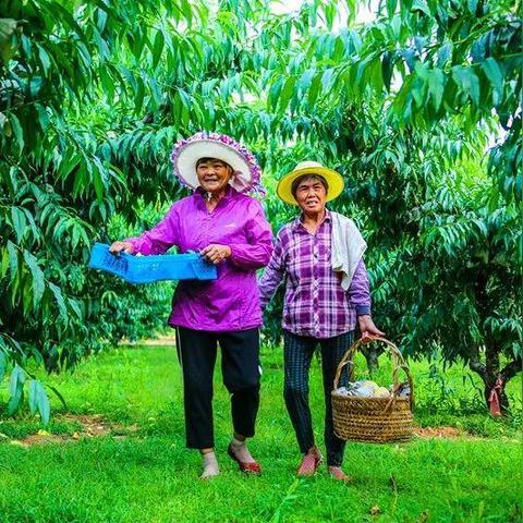 无锡市化肥的长尾关键词有什么