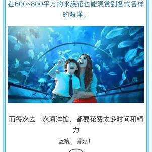 沈阳市哪个海洋馆好玩