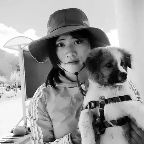 tiktok搞笑小狗 衍生的长尾关键词有哪些 