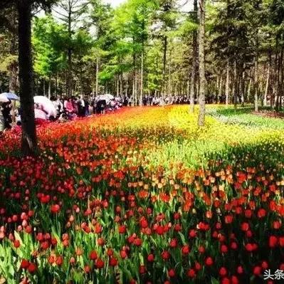 哈尔滨小饭店生意相关长尾关键词有哪些