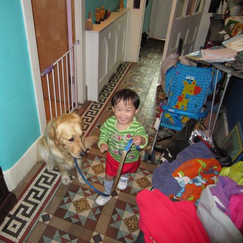 温州市小狗领养中心电话的长尾关键词有什么