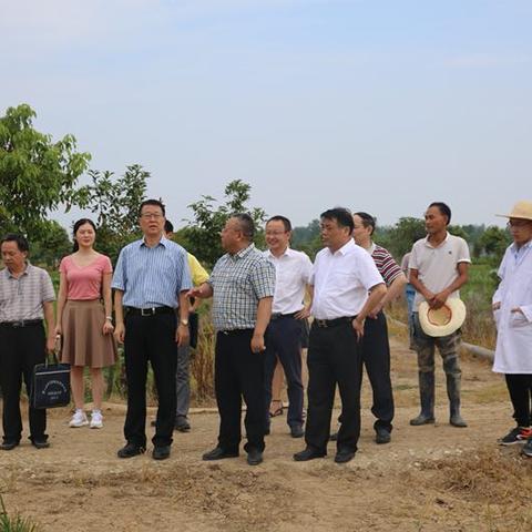 武汉市的农业学校叫什么