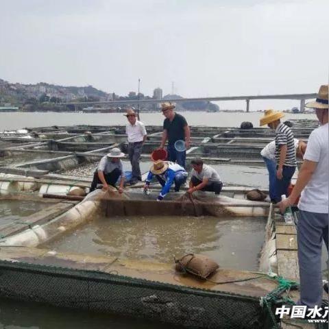 温州市冷冻市场在哪里啊