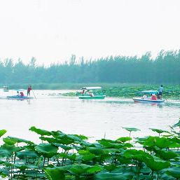 山东菏泽市碧水蓝天记的长尾关键词有什么