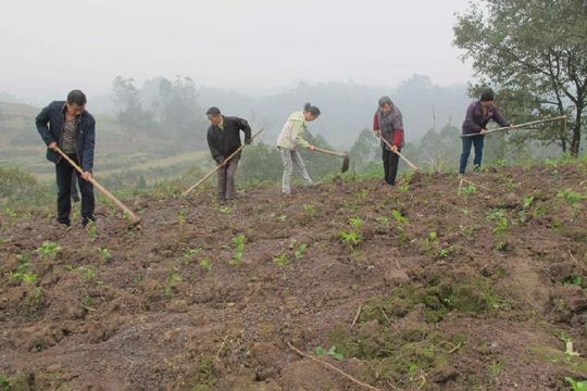 农村越来越多的农民放弃种植，种地根本赚不到钱，为什么会这样？