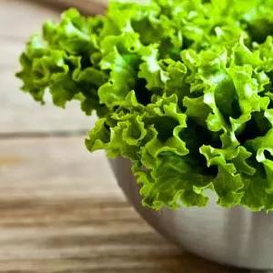 广州的白话是什么意思？