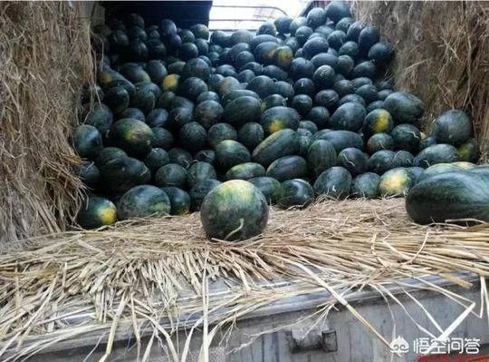 准备拿1万块在农村做流动水果和蔬菜生意，可行吗？